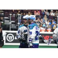 Rochester Knighthawks conference after a goal