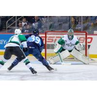 Texas Stars Goaltender Philippe Desrosiers faces the Manitoba Moose