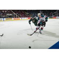 Kelowna Rockets defenceman Kaedan Korczak races to the puck against the Everett Silvertips