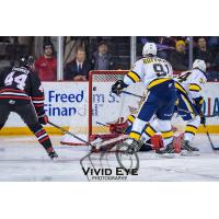 Akil Thomas of the Niagara IceDogs scores against the Erie Otters