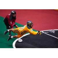 Zed Williams of the Georgia Swarm takes a diving shot against the Colorado Mammoth