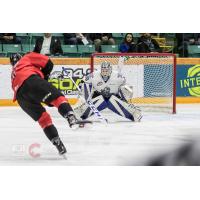 Prince George Cougars take a shot against the Victoria Royals