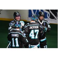 Rochester Knighthawks huddle