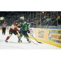 Florida Everblades forward Patrick Bajkov