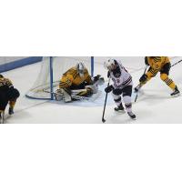 South Carolina Stingrays forward Grant Besse against the Norfolk Admirals