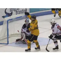 Norfolk Admirals forward Matt McMorrow celebrates a goal against the South Carolina Stingrays