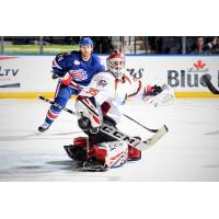 Cleveland Monsters goaltender Jean-Francois Berube vs. the Rochester Americans