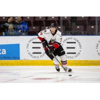 Adirondack Thunder defenseman Desmond Bergin