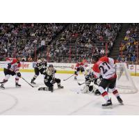 Wheeling Nailers goaltender Jordan Ruby vs. the Cincinnati Cyclones