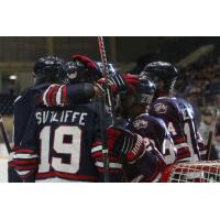 Macon Mayhem celebrate a goal against the Evansville Thunderbolts