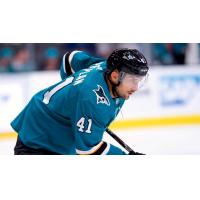 Forward Vincent Praplan with the San Jose Sharks