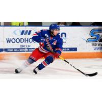 Kitchener Rangers left wing Joseph Garreffa