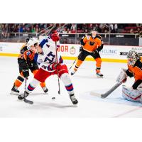 Lehigh Valley Phantoms battle the Charlotte Checkers