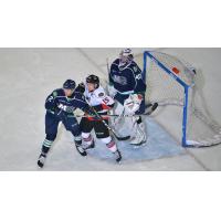 Adirondack Thunder forward James Henry (center) battles the Maine Mariners