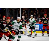 Texas Stars vs. the Grand Rapids Griffins