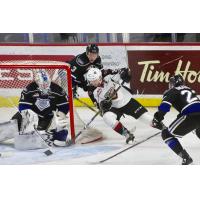 Vancouver Giants right wing Jared Dmytriw wraps around against the Victoria Royals