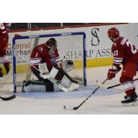 Allen Americans goaltender C.J. Motte and center Riley Bourbonnais