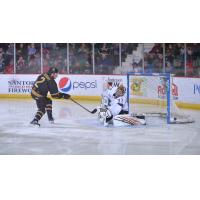 Adirondack Thunder forward Matt Salhany takes a shot against the Reading Royals