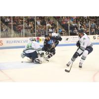 Florida Everblades goaltender Jamie Phillips against the South Carolina Stingrays