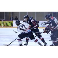 Evan Schultz of the Evansville Thunderbolts vs. the Quad City Storm