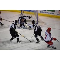 Utah Grizzlies goaltender Kevin Carr against the Allen Americans