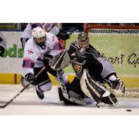 Vancouver Giants goaltender Trent Miner reaches for a puck against the Victoria Royals