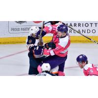 Greenville Swamp Rabbits clash with the Orlando Solar Bears