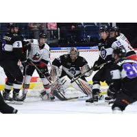 Adirondack Thunder pressure the Reading Royals