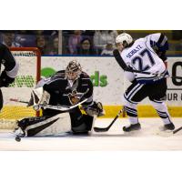 Vancouver Giants goaltender Trent Miner eyes the puck against the Victoria Royals