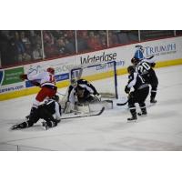 Utah Grizzlies goaltender CJ Motte and defense against the Allen Americans