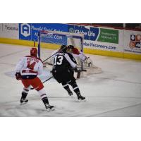 Utah Grizzlies forward Mitch Maxwell against the Allen Americans