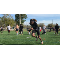 Jacksonville Sharks open tryout