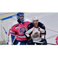 Greenville Swamp Rabbits forward Michael Pelech (right) against the Orlando Solar Bears