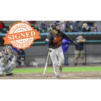 Long Island Ducks infielder David Washington