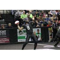 Nebraska Danger quarterback Tommy Armstrong, Jr.