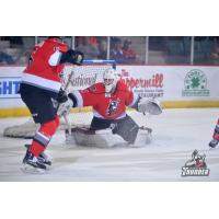 Adirondack Thunder goaltender Alex Sakellaropoulos