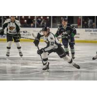 Utah Grizzlies forward Cole Ully vs. the Maine Mariners