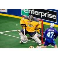Georgia Swarm goalie Mike Poulin