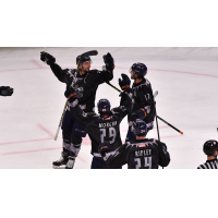 Greenville Swamp Rabbits celebrate a goal against the South Carolina Stingrays