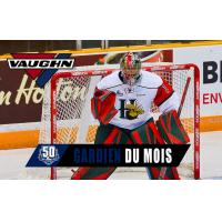 Halifax Mooseheads goaltender Alexis Gravel