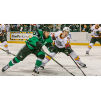 Texas Stars center Justin Dowling (left) takes on the Chicago Wolves