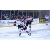 Evansville Thunderbolts center Chase Nieuwendyk