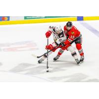 Grand Rapids Griffins center Turner Elson fights off the Rockford IceHogs