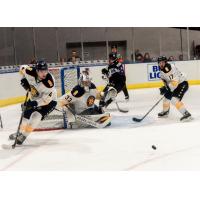 Norfolk Admirals goaltender Ty Reichenbach eyes a loose puck against the Reading Royals