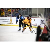 Defenseman Gabriel Verpaelst (left) with the Wichita Thunder