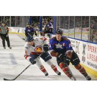 Utah Grizzlies defenseman Teigan Zahn (right) against the Maine Mariners