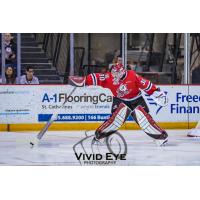 Niagara IceDogs goaltender Stephen Dhillon