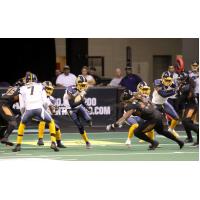 Cedar Rapids River Kings receiver Marquel Wade vs. the Arizona Rattlers