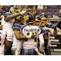 Cedar Rapids River Kings congratulate QB Kurt Palandech vs. the Arizona Rattlers