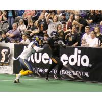 Arizona Rattlers vs. the Cedar Rapids River Kings